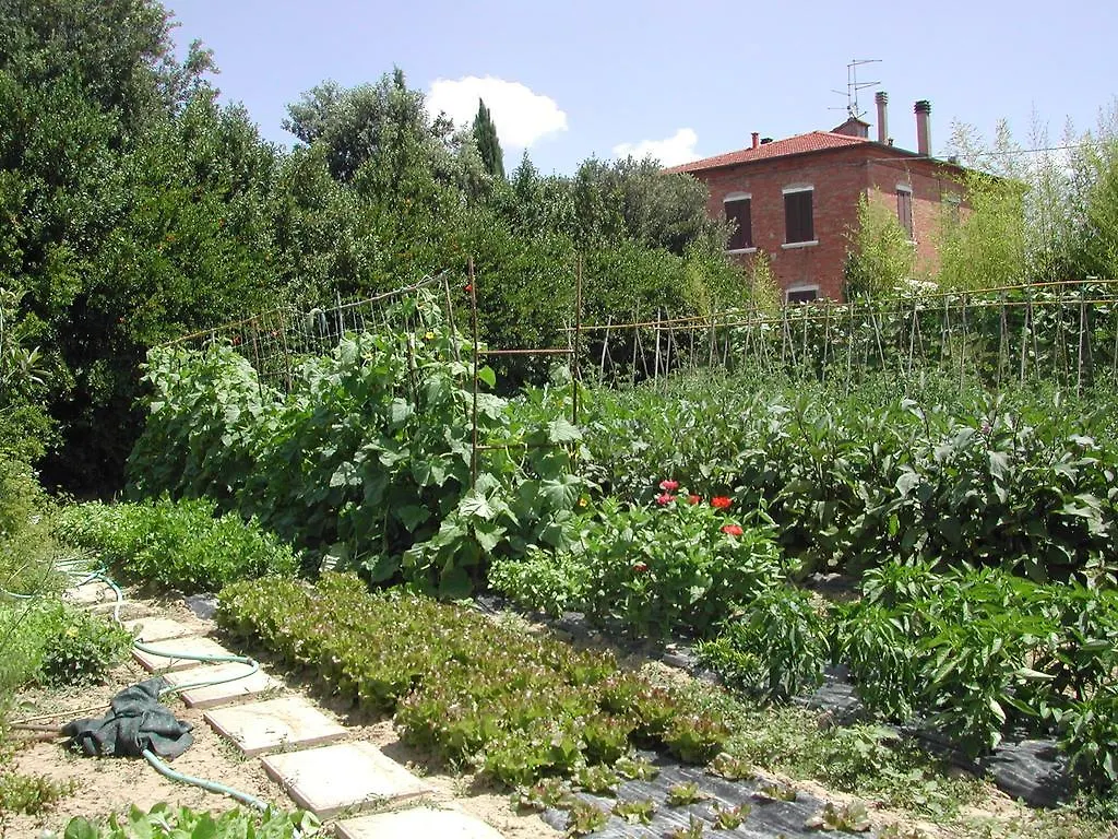 Villa La Lodola Foiano Della Chiana 0*,