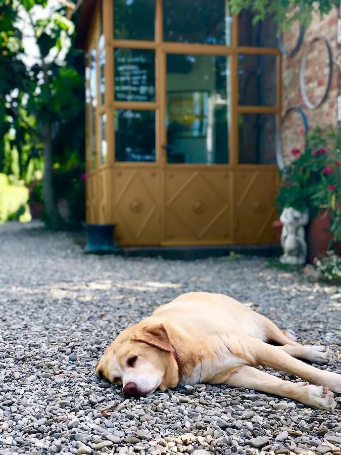 Country house Villa La Lodola Foiano Della Chiana